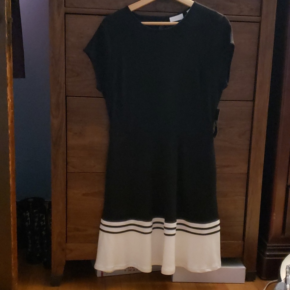 Fit and flare dress